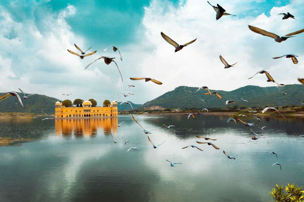 Jaipur one day sightseeing tour price